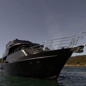 Antares Bow