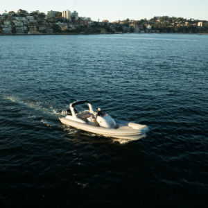 Chapman Stingher 32 15