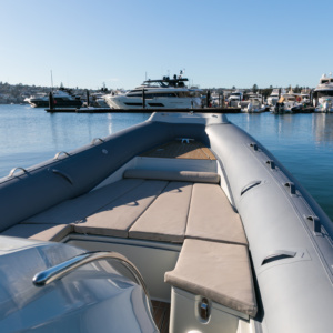 Chapman Stingher 32 40