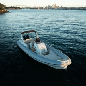 Chapman Stingher 32 13