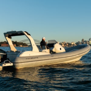 Chapman Stingher 32 22