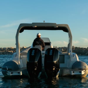 Chapman Stingher 32 24