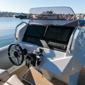 Chapman Stingher 32 38