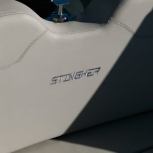 Chapman Stingher 32 41