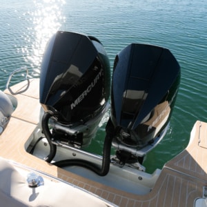 Chapman Stingher 32 46