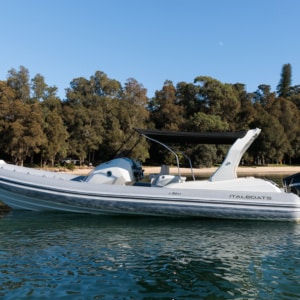 Chapman Stingher 32 54