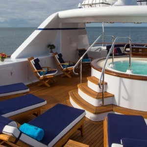 Copy Of Teleost Bf Brochure 2025d