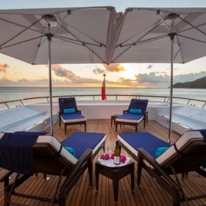 Copy Of Teleost Bf Brochure 2025h