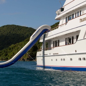 Copy Of Teleost Bf Brochure 2025k