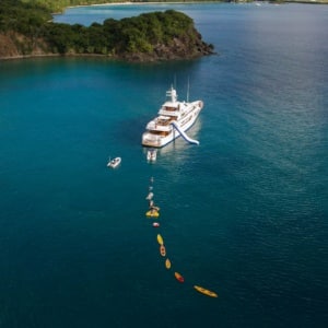 Copy Of Teleost Bf Brochure 2025l