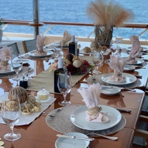 Copy Of Teleost Image 1