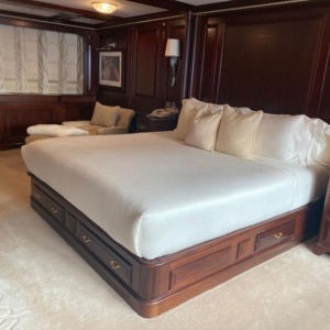 Copy Of Teleost Image 3